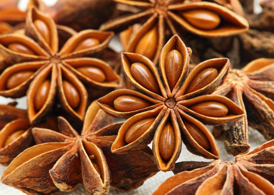 Бадьян (Star anise)